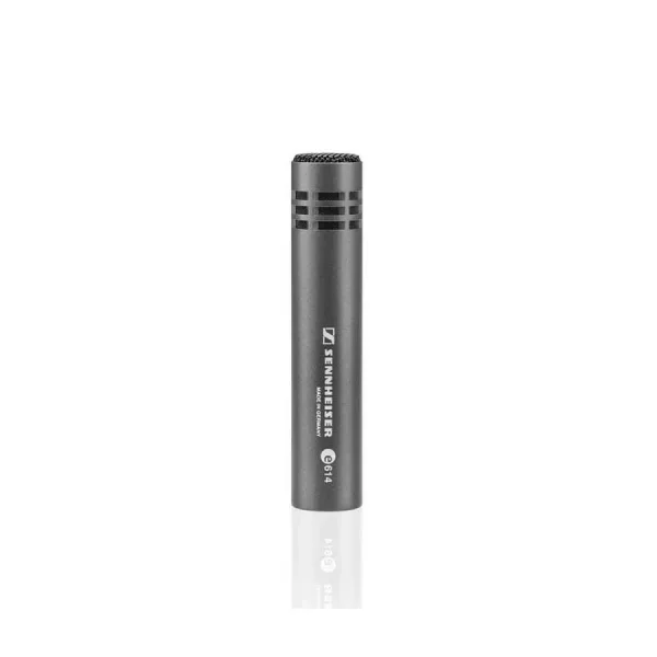 E 614 Condenser Enstruman Mikrofonu