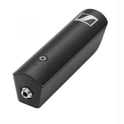 XSW-D MINI JACK RX