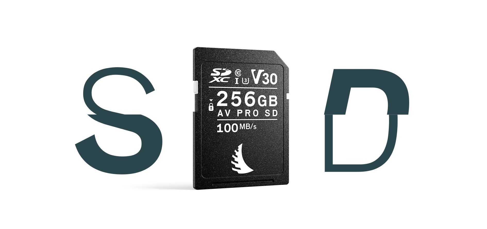 Angelbird AV PRO SD 256 GB V30